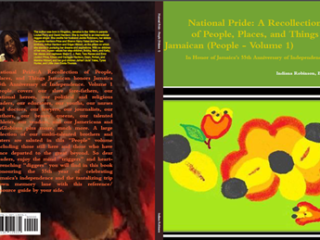 Diaspora Pride V1 People Places and Things