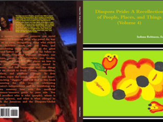 Diaspora Pride V4 People Places and Things